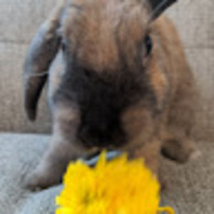 Meet your Posher, Devin